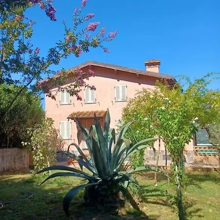 Chez Fredy Mommio