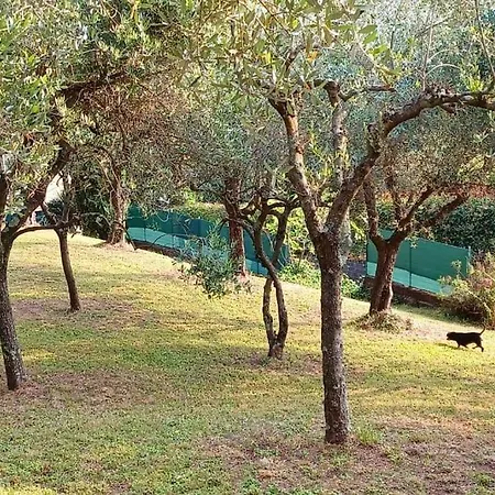 Villa Chez Fredy